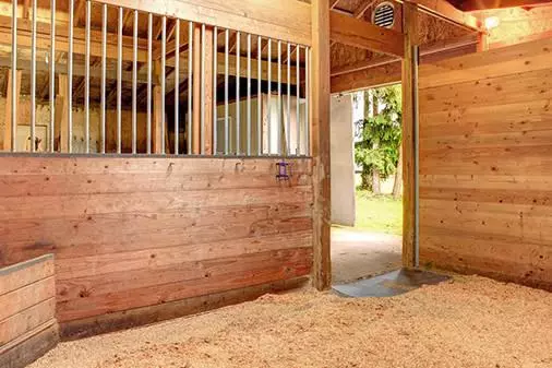 Fabricación y venta de viruta de madera para caballos y serrín en Madrid - Viruta Ricosan - Página cuidados - cuadra